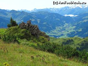 [P05] În apropierea Alpen Blumen Garten, la 1.880 m pe Kitzbüheler Horn » foto by saxonul
 - 
<span class="allrVoted glyphicon glyphicon-heart hidden" id="av546913"></span>
<a class="m-l-10 hidden" id="sv546913" onclick="voting_Foto_DelVot(,546913,9111)" role="button">șterge vot <span class="glyphicon glyphicon-remove"></span></a>
<a id="v9546913" class=" c-red"  onclick="voting_Foto_SetVot(546913)" role="button"><span class="glyphicon glyphicon-heart-empty"></span> <b>LIKE</b> = Votează poza</a> <img class="hidden"  id="f546913W9" src="/imagini/loader.gif" border="0" /><span class="AjErrMes hidden" id="e546913ErM"></span>