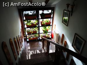 [P39] Treptele dintre etaj și mansardă (și câteva decorațiuni vegetale foarte frumoase) » foto by crismis
 - 
<span class="allrVoted glyphicon glyphicon-heart hidden" id="av1212500"></span>
<a class="m-l-10 hidden" id="sv1212500" onclick="voting_Foto_DelVot(,1212500,9112)" role="button">șterge vot <span class="glyphicon glyphicon-remove"></span></a>
<a id="v91212500" class=" c-red"  onclick="voting_Foto_SetVot(1212500)" role="button"><span class="glyphicon glyphicon-heart-empty"></span> <b>LIKE</b> = Votează poza</a> <img class="hidden"  id="f1212500W9" src="/imagini/loader.gif" border="0" /><span class="AjErrMes hidden" id="e1212500ErM"></span>