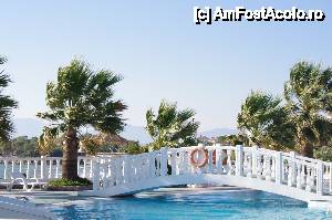 [P08] Un pod peste piscina » foto by cdiana
 - 
<span class="allrVoted glyphicon glyphicon-heart hidden" id="av432945"></span>
<a class="m-l-10 hidden" id="sv432945" onclick="voting_Foto_DelVot(,432945,9116)" role="button">șterge vot <span class="glyphicon glyphicon-remove"></span></a>
<a id="v9432945" class=" c-red"  onclick="voting_Foto_SetVot(432945)" role="button"><span class="glyphicon glyphicon-heart-empty"></span> <b>LIKE</b> = Votează poza</a> <img class="hidden"  id="f432945W9" src="/imagini/loader.gif" border="0" /><span class="AjErrMes hidden" id="e432945ErM"></span>