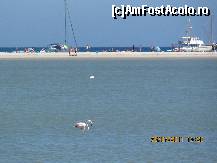 [P05] TIMI AMA ,plaja ,flamingo » foto by LucaS2005
 - 
<span class="allrVoted glyphicon glyphicon-heart hidden" id="av326709"></span>
<a class="m-l-10 hidden" id="sv326709" onclick="voting_Foto_DelVot(,326709,9120)" role="button">șterge vot <span class="glyphicon glyphicon-remove"></span></a>
<a id="v9326709" class=" c-red"  onclick="voting_Foto_SetVot(326709)" role="button"><span class="glyphicon glyphicon-heart-empty"></span> <b>LIKE</b> = Votează poza</a> <img class="hidden"  id="f326709W9" src="/imagini/loader.gif" border="0" /><span class="AjErrMes hidden" id="e326709ErM"></span>
