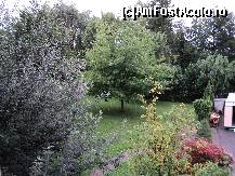 [P15] ce mai vedeam de pe terasa » foto by TORA INGRID
 - 
<span class="allrVoted glyphicon glyphicon-heart hidden" id="av227908"></span>
<a class="m-l-10 hidden" id="sv227908" onclick="voting_Foto_DelVot(,227908,9122)" role="button">șterge vot <span class="glyphicon glyphicon-remove"></span></a>
<a id="v9227908" class=" c-red"  onclick="voting_Foto_SetVot(227908)" role="button"><span class="glyphicon glyphicon-heart-empty"></span> <b>LIKE</b> = Votează poza</a> <img class="hidden"  id="f227908W9" src="/imagini/loader.gif" border="0" /><span class="AjErrMes hidden" id="e227908ErM"></span>