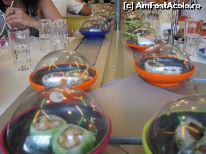 [P08] Cele doua farfurioare din stanga au fost preferatele noastre: o cantitate decenta de peste.  » foto by Cucu Bau
 - 
<span class="allrVoted glyphicon glyphicon-heart hidden" id="av594644"></span>
<a class="m-l-10 hidden" id="sv594644" onclick="voting_Foto_DelVot(,594644,9129)" role="button">șterge vot <span class="glyphicon glyphicon-remove"></span></a>
<a id="v9594644" class=" c-red"  onclick="voting_Foto_SetVot(594644)" role="button"><span class="glyphicon glyphicon-heart-empty"></span> <b>LIKE</b> = Votează poza</a> <img class="hidden"  id="f594644W9" src="/imagini/loader.gif" border="0" /><span class="AjErrMes hidden" id="e594644ErM"></span>