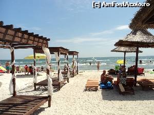 [P04] Holiday Beach 3 stele din Mamaia. Plaja foarte curate si bine amenajata.  » foto by vega06
 - 
<span class="allrVoted glyphicon glyphicon-heart hidden" id="av639042"></span>
<a class="m-l-10 hidden" id="sv639042" onclick="voting_Foto_DelVot(,639042,9156)" role="button">șterge vot <span class="glyphicon glyphicon-remove"></span></a>
<a id="v9639042" class=" c-red"  onclick="voting_Foto_SetVot(639042)" role="button"><span class="glyphicon glyphicon-heart-empty"></span> <b>LIKE</b> = Votează poza</a> <img class="hidden"  id="f639042W9" src="/imagini/loader.gif" border="0" /><span class="AjErrMes hidden" id="e639042ErM"></span>