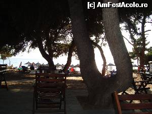 [P19] La plaja, sezlonguri si umbrele gratuite si suficiente » foto by elga
 - 
<span class="allrVoted glyphicon glyphicon-heart hidden" id="av496084"></span>
<a class="m-l-10 hidden" id="sv496084" onclick="voting_Foto_DelVot(,496084,9158)" role="button">șterge vot <span class="glyphicon glyphicon-remove"></span></a>
<a id="v9496084" class=" c-red"  onclick="voting_Foto_SetVot(496084)" role="button"><span class="glyphicon glyphicon-heart-empty"></span> <b>LIKE</b> = Votează poza</a> <img class="hidden"  id="f496084W9" src="/imagini/loader.gif" border="0" /><span class="AjErrMes hidden" id="e496084ErM"></span>