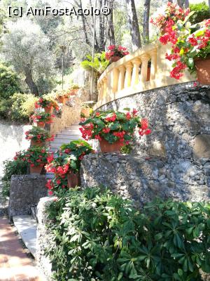 [P18] Culori de Portofino » foto by crismis
 - 
<span class="allrVoted glyphicon glyphicon-heart hidden" id="av935818"></span>
<a class="m-l-10 hidden" id="sv935818" onclick="voting_Foto_DelVot(,935818,9192)" role="button">șterge vot <span class="glyphicon glyphicon-remove"></span></a>
<a id="v9935818" class=" c-red"  onclick="voting_Foto_SetVot(935818)" role="button"><span class="glyphicon glyphicon-heart-empty"></span> <b>LIKE</b> = Votează poza</a> <img class="hidden"  id="f935818W9" src="/imagini/loader.gif" border="0" /><span class="AjErrMes hidden" id="e935818ErM"></span>