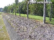 [P21] Memorialul de la Dachau - Detaliu gard exterior » foto by RoF*
 - 
<span class="allrVoted glyphicon glyphicon-heart hidden" id="av377937"></span>
<a class="m-l-10 hidden" id="sv377937" onclick="voting_Foto_DelVot(,377937,9209)" role="button">șterge vot <span class="glyphicon glyphicon-remove"></span></a>
<a id="v9377937" class=" c-red"  onclick="voting_Foto_SetVot(377937)" role="button"><span class="glyphicon glyphicon-heart-empty"></span> <b>LIKE</b> = Votează poza</a> <img class="hidden"  id="f377937W9" src="/imagini/loader.gif" border="0" /><span class="AjErrMes hidden" id="e377937ErM"></span>