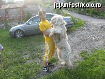 [P06]  -- <small>// FĂRĂ DESCRIERE</small> » foto by maximilian1971
 - 
<span class="allrVoted glyphicon glyphicon-heart hidden" id="av214448"></span>
<a class="m-l-10 hidden" id="sv214448" onclick="voting_Foto_DelVot(,214448,9222)" role="button">șterge vot <span class="glyphicon glyphicon-remove"></span></a>
<a id="v9214448" class=" c-red"  onclick="voting_Foto_SetVot(214448)" role="button"><span class="glyphicon glyphicon-heart-empty"></span> <b>LIKE</b> = Votează poza</a> <img class="hidden"  id="f214448W9" src="/imagini/loader.gif" border="0" /><span class="AjErrMes hidden" id="e214448ErM"></span>