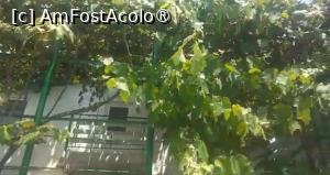 [P10] Casa Pinciuc, Costinești » foto by Mioritik
 - 
<span class="allrVoted glyphicon glyphicon-heart hidden" id="av1396687"></span>
<a class="m-l-10 hidden" id="sv1396687" onclick="voting_Foto_DelVot(,1396687,9230)" role="button">șterge vot <span class="glyphicon glyphicon-remove"></span></a>
<a id="v91396687" class=" c-red"  onclick="voting_Foto_SetVot(1396687)" role="button"><span class="glyphicon glyphicon-heart-empty"></span> <b>LIKE</b> = Votează poza</a> <img class="hidden"  id="f1396687W9" src="/imagini/loader.gif" border="0" /><span class="AjErrMes hidden" id="e1396687ErM"></span>