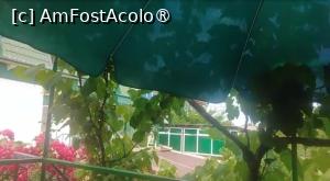 [P03] Casa Pinciuc, Costinești » foto by Mioritik
 - 
<span class="allrVoted glyphicon glyphicon-heart hidden" id="av1396680"></span>
<a class="m-l-10 hidden" id="sv1396680" onclick="voting_Foto_DelVot(,1396680,9230)" role="button">șterge vot <span class="glyphicon glyphicon-remove"></span></a>
<a id="v91396680" class=" c-red"  onclick="voting_Foto_SetVot(1396680)" role="button"><span class="glyphicon glyphicon-heart-empty"></span> <b>LIKE</b> = Votează poza</a> <img class="hidden"  id="f1396680W9" src="/imagini/loader.gif" border="0" /><span class="AjErrMes hidden" id="e1396680ErM"></span>