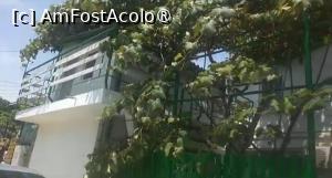 [P05] Casa Pinciuc, Costinești » foto by Mioritik
 - 
<span class="allrVoted glyphicon glyphicon-heart hidden" id="av1396682"></span>
<a class="m-l-10 hidden" id="sv1396682" onclick="voting_Foto_DelVot(,1396682,9230)" role="button">șterge vot <span class="glyphicon glyphicon-remove"></span></a>
<a id="v91396682" class=" c-red"  onclick="voting_Foto_SetVot(1396682)" role="button"><span class="glyphicon glyphicon-heart-empty"></span> <b>LIKE</b> = Votează poza</a> <img class="hidden"  id="f1396682W9" src="/imagini/loader.gif" border="0" /><span class="AjErrMes hidden" id="e1396682ErM"></span>