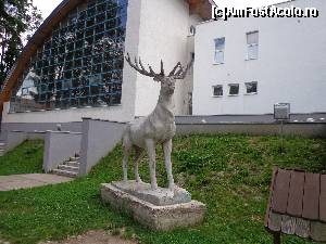[P03] Fotografie din Gura Humorului. » foto by Marian999*
 - 
<span class="allrVoted glyphicon glyphicon-heart hidden" id="av572760"></span>
<a class="m-l-10 hidden" id="sv572760" onclick="voting_Foto_DelVot(,572760,9238)" role="button">șterge vot <span class="glyphicon glyphicon-remove"></span></a>
<a id="v9572760" class=" c-red"  onclick="voting_Foto_SetVot(572760)" role="button"><span class="glyphicon glyphicon-heart-empty"></span> <b>LIKE</b> = Votează poza</a> <img class="hidden"  id="f572760W9" src="/imagini/loader.gif" border="0" /><span class="AjErrMes hidden" id="e572760ErM"></span>