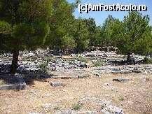 [P15] Aleea principala a orasului antic Priene. » foto by octaviansz
 - 
<span class="allrVoted glyphicon glyphicon-heart hidden" id="av214409"></span>
<a class="m-l-10 hidden" id="sv214409" onclick="voting_Foto_DelVot(,214409,9243)" role="button">șterge vot <span class="glyphicon glyphicon-remove"></span></a>
<a id="v9214409" class=" c-red"  onclick="voting_Foto_SetVot(214409)" role="button"><span class="glyphicon glyphicon-heart-empty"></span> <b>LIKE</b> = Votează poza</a> <img class="hidden"  id="f214409W9" src="/imagini/loader.gif" border="0" /><span class="AjErrMes hidden" id="e214409ErM"></span>