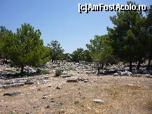 [P16] Ruinele unui oras antic.Priene. » foto by octaviansz
 - 
<span class="allrVoted glyphicon glyphicon-heart hidden" id="av214410"></span>
<a class="m-l-10 hidden" id="sv214410" onclick="voting_Foto_DelVot(,214410,9243)" role="button">șterge vot <span class="glyphicon glyphicon-remove"></span></a>
<a id="v9214410" class=" c-red"  onclick="voting_Foto_SetVot(214410)" role="button"><span class="glyphicon glyphicon-heart-empty"></span> <b>LIKE</b> = Votează poza</a> <img class="hidden"  id="f214410W9" src="/imagini/loader.gif" border="0" /><span class="AjErrMes hidden" id="e214410ErM"></span>