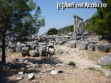 [P05] La pas prin orasul antic Priene. » foto by octaviansz
 - 
<span class="allrVoted glyphicon glyphicon-heart hidden" id="av214388"></span>
<a class="m-l-10 hidden" id="sv214388" onclick="voting_Foto_DelVot(,214388,9243)" role="button">șterge vot <span class="glyphicon glyphicon-remove"></span></a>
<a id="v9214388" class=" c-red"  onclick="voting_Foto_SetVot(214388)" role="button"><span class="glyphicon glyphicon-heart-empty"></span> <b>LIKE</b> = Votează poza</a> <img class="hidden"  id="f214388W9" src="/imagini/loader.gif" border="0" /><span class="AjErrMes hidden" id="e214388ErM"></span>