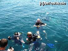[P10] Dupa scuba diving-la iesirea din 'adancuri' » foto by Ricone
 - 
<span class="allrVoted glyphicon glyphicon-heart hidden" id="av247069"></span>
<a class="m-l-10 hidden" id="sv247069" onclick="voting_Foto_DelVot(,247069,9243)" role="button">șterge vot <span class="glyphicon glyphicon-remove"></span></a>
<a id="v9247069" class=" c-red"  onclick="voting_Foto_SetVot(247069)" role="button"><span class="glyphicon glyphicon-heart-empty"></span> <b>LIKE</b> = Votează poza</a> <img class="hidden"  id="f247069W9" src="/imagini/loader.gif" border="0" /><span class="AjErrMes hidden" id="e247069ErM"></span>