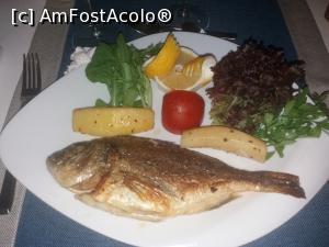 [P04] Fish restaurant!  » foto by T&T*
 - 
<span class="allrVoted glyphicon glyphicon-heart hidden" id="av1124279"></span>
<a class="m-l-10 hidden" id="sv1124279" onclick="voting_Foto_DelVot(,1124279,9244)" role="button">șterge vot <span class="glyphicon glyphicon-remove"></span></a>
<a id="v91124279" class=" c-red"  onclick="voting_Foto_SetVot(1124279)" role="button"><span class="glyphicon glyphicon-heart-empty"></span> <b>LIKE</b> = Votează poza</a> <img class="hidden"  id="f1124279W9" src="/imagini/loader.gif" border="0" /><span class="AjErrMes hidden" id="e1124279ErM"></span>
