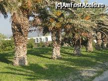 [P04] in plan secund unele dintre bungalow-uri » foto by simasima
 - 
<span class="allrVoted glyphicon glyphicon-heart hidden" id="av215802"></span>
<a class="m-l-10 hidden" id="sv215802" onclick="voting_Foto_DelVot(,215802,9247)" role="button">șterge vot <span class="glyphicon glyphicon-remove"></span></a>
<a id="v9215802" class=" c-red"  onclick="voting_Foto_SetVot(215802)" role="button"><span class="glyphicon glyphicon-heart-empty"></span> <b>LIKE</b> = Votează poza</a> <img class="hidden"  id="f215802W9" src="/imagini/loader.gif" border="0" /><span class="AjErrMes hidden" id="e215802ErM"></span>