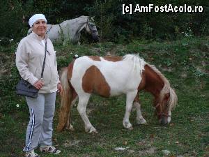 [P31]  -- <small>// FĂRĂ DESCRIERE</small> » foto by susu
 - 
<span class="allrVoted glyphicon glyphicon-heart hidden" id="av367638"></span>
<a class="m-l-10 hidden" id="sv367638" onclick="voting_Foto_DelVot(,367638,9254)" role="button">șterge vot <span class="glyphicon glyphicon-remove"></span></a>
<a id="v9367638" class=" c-red"  onclick="voting_Foto_SetVot(367638)" role="button"><span class="glyphicon glyphicon-heart-empty"></span> <b>LIKE</b> = Votează poza</a> <img class="hidden"  id="f367638W9" src="/imagini/loader.gif" border="0" /><span class="AjErrMes hidden" id="e367638ErM"></span>