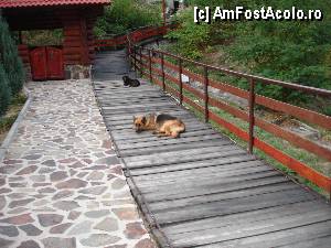 [P47]  -- <small>// FĂRĂ DESCRIERE</small> » foto by susu
 - 
<span class="allrVoted glyphicon glyphicon-heart hidden" id="av367666"></span>
<a class="m-l-10 hidden" id="sv367666" onclick="voting_Foto_DelVot(,367666,9254)" role="button">șterge vot <span class="glyphicon glyphicon-remove"></span></a>
<a id="v9367666" class=" c-red"  onclick="voting_Foto_SetVot(367666)" role="button"><span class="glyphicon glyphicon-heart-empty"></span> <b>LIKE</b> = Votează poza</a> <img class="hidden"  id="f367666W9" src="/imagini/loader.gif" border="0" /><span class="AjErrMes hidden" id="e367666ErM"></span>