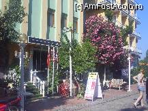 [P01] Hotel Villa cu fatada verde Hotel Canberra cu fatada galbena » foto by Patrascu
 - 
<span class="allrVoted glyphicon glyphicon-heart hidden" id="av217236"></span>
<a class="m-l-10 hidden" id="sv217236" onclick="voting_Foto_DelVot(,217236,9276)" role="button">șterge vot <span class="glyphicon glyphicon-remove"></span></a>
<a id="v9217236" class=" c-red"  onclick="voting_Foto_SetVot(217236)" role="button"><span class="glyphicon glyphicon-heart-empty"></span> <b>LIKE</b> = Votează poza</a> <img class="hidden"  id="f217236W9" src="/imagini/loader.gif" border="0" /><span class="AjErrMes hidden" id="e217236ErM"></span>