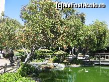 [P02] Parc public » foto by andranicolle*
 - 
<span class="allrVoted glyphicon glyphicon-heart hidden" id="av217298"></span>
<a class="m-l-10 hidden" id="sv217298" onclick="voting_Foto_DelVot(,217298,9277)" role="button">șterge vot <span class="glyphicon glyphicon-remove"></span></a>
<a id="v9217298" class=" c-red"  onclick="voting_Foto_SetVot(217298)" role="button"><span class="glyphicon glyphicon-heart-empty"></span> <b>LIKE</b> = Votează poza</a> <img class="hidden"  id="f217298W9" src="/imagini/loader.gif" border="0" /><span class="AjErrMes hidden" id="e217298ErM"></span>