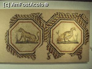 [P56] Musée de la Civilisation Gallo-Romaine - mozaic zoomorf octogonal » foto by Carmen Ion
 - 
<span class="allrVoted glyphicon glyphicon-heart hidden" id="av929889"></span>
<a class="m-l-10 hidden" id="sv929889" onclick="voting_Foto_DelVot(,929889,9297)" role="button">șterge vot <span class="glyphicon glyphicon-remove"></span></a>
<a id="v9929889" class=" c-red"  onclick="voting_Foto_SetVot(929889)" role="button"><span class="glyphicon glyphicon-heart-empty"></span> <b>LIKE</b> = Votează poza</a> <img class="hidden"  id="f929889W9" src="/imagini/loader.gif" border="0" /><span class="AjErrMes hidden" id="e929889ErM"></span>