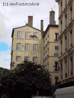 [P52] Fresque des animaux sauvages » foto by Carmen Ion
 - 
<span class="allrVoted glyphicon glyphicon-heart hidden" id="av931573"></span>
<a class="m-l-10 hidden" id="sv931573" onclick="voting_Foto_DelVot(,931573,9297)" role="button">șterge vot <span class="glyphicon glyphicon-remove"></span></a>
<a id="v9931573" class=" c-red"  onclick="voting_Foto_SetVot(931573)" role="button"><span class="glyphicon glyphicon-heart-empty"></span> <b>LIKE</b> = Votează poza</a> <img class="hidden"  id="f931573W9" src="/imagini/loader.gif" border="0" /><span class="AjErrMes hidden" id="e931573ErM"></span>