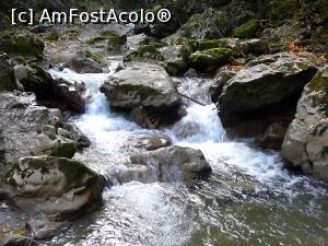 [P13] Am ajuns în Cheile Bicăjelului » foto by Claudiu U.
 - 
<span class="allrVoted glyphicon glyphicon-heart hidden" id="av733514"></span>
<a class="m-l-10 hidden" id="sv733514" onclick="voting_Foto_DelVot(,733514,9349)" role="button">șterge vot <span class="glyphicon glyphicon-remove"></span></a>
<a id="v9733514" class=" c-red"  onclick="voting_Foto_SetVot(733514)" role="button"><span class="glyphicon glyphicon-heart-empty"></span> <b>LIKE</b> = Votează poza</a> <img class="hidden"  id="f733514W9" src="/imagini/loader.gif" border="0" /><span class="AjErrMes hidden" id="e733514ErM"></span>
