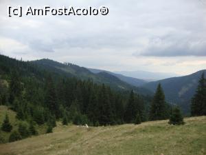 [P58] DN 12C începe să coboare către Gheorgheni și străbate o zonă la fel de frumoasă.  » foto by Floryn81
 - 
<span class="allrVoted glyphicon glyphicon-heart hidden" id="av738034"></span>
<a class="m-l-10 hidden" id="sv738034" onclick="voting_Foto_DelVot(,738034,9349)" role="button">șterge vot <span class="glyphicon glyphicon-remove"></span></a>
<a id="v9738034" class=" c-red"  onclick="voting_Foto_SetVot(738034)" role="button"><span class="glyphicon glyphicon-heart-empty"></span> <b>LIKE</b> = Votează poza</a> <img class="hidden"  id="f738034W9" src="/imagini/loader.gif" border="0" /><span class="AjErrMes hidden" id="e738034ErM"></span>