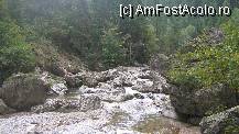 [P21]  -- <small>// FĂRĂ DESCRIERE</small> » foto by cristi82d
 - 
<span class="allrVoted glyphicon glyphicon-heart hidden" id="av141656"></span>
<a class="m-l-10 hidden" id="sv141656" onclick="voting_Foto_DelVot(,141656,9349)" role="button">șterge vot <span class="glyphicon glyphicon-remove"></span></a>
<a id="v9141656" class=" c-red"  onclick="voting_Foto_SetVot(141656)" role="button"><span class="glyphicon glyphicon-heart-empty"></span> <b>LIKE</b> = Votează poza</a> <img class="hidden"  id="f141656W9" src="/imagini/loader.gif" border="0" /><span class="AjErrMes hidden" id="e141656ErM"></span>