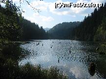 [P18x]  -- <small>// FĂRĂ DESCRIERE</small> » foto by cristi82d
 - 
<span class="allrVoted glyphicon glyphicon-heart hidden" id="av27586"></span>
<a class="m-l-10 hidden" id="sv27586" onclick="voting_Foto_DelVot(,27586,9349)" role="button">șterge vot <span class="glyphicon glyphicon-remove"></span></a>
<a id="v927586" class=" c-red"  onclick="voting_Foto_SetVot(27586)" role="button"><span class="glyphicon glyphicon-heart-empty"></span> <b>LIKE</b> = Votează poza</a> <img class="hidden"  id="f27586W9" src="/imagini/loader.gif" border="0" /><span class="AjErrMes hidden" id="e27586ErM"></span>