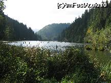 [P19x]  -- <small>// FĂRĂ DESCRIERE</small> » foto by cristi82d
 - 
<span class="allrVoted glyphicon glyphicon-heart hidden" id="av27587"></span>
<a class="m-l-10 hidden" id="sv27587" onclick="voting_Foto_DelVot(,27587,9349)" role="button">șterge vot <span class="glyphicon glyphicon-remove"></span></a>
<a id="v927587" class=" c-red"  onclick="voting_Foto_SetVot(27587)" role="button"><span class="glyphicon glyphicon-heart-empty"></span> <b>LIKE</b> = Votează poza</a> <img class="hidden"  id="f27587W9" src="/imagini/loader.gif" border="0" /><span class="AjErrMes hidden" id="e27587ErM"></span>