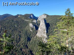 [P12] Piatra Altarului » foto by Mika
 - 
<span class="allrVoted glyphicon glyphicon-heart hidden" id="av1339806"></span>
<a class="m-l-10 hidden" id="sv1339806" onclick="voting_Foto_DelVot(,1339806,9349)" role="button">șterge vot <span class="glyphicon glyphicon-remove"></span></a>
<a id="v91339806" class=" c-red"  onclick="voting_Foto_SetVot(1339806)" role="button"><span class="glyphicon glyphicon-heart-empty"></span> <b>LIKE</b> = Votează poza</a> <img class="hidden"  id="f1339806W9" src="/imagini/loader.gif" border="0" /><span class="AjErrMes hidden" id="e1339806ErM"></span>