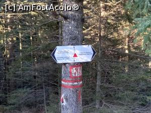 [P15] Pe cel de al doilea traseu al zilei » foto by Mika
 - 
<span class="allrVoted glyphicon glyphicon-heart hidden" id="av1339809"></span>
<a class="m-l-10 hidden" id="sv1339809" onclick="voting_Foto_DelVot(,1339809,9349)" role="button">șterge vot <span class="glyphicon glyphicon-remove"></span></a>
<a id="v91339809" class=" c-red"  onclick="voting_Foto_SetVot(1339809)" role="button"><span class="glyphicon glyphicon-heart-empty"></span> <b>LIKE</b> = Votează poza</a> <img class="hidden"  id="f1339809W9" src="/imagini/loader.gif" border="0" /><span class="AjErrMes hidden" id="e1339809ErM"></span>