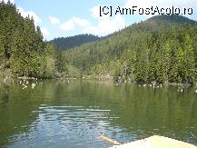 [P09] lacul rosu » foto by alinush_geo
 - 
<span class="allrVoted glyphicon glyphicon-heart hidden" id="av39427"></span>
<a class="m-l-10 hidden" id="sv39427" onclick="voting_Foto_DelVot(,39427,9349)" role="button">șterge vot <span class="glyphicon glyphicon-remove"></span></a>
<a id="v939427" class=" c-red"  onclick="voting_Foto_SetVot(39427)" role="button"><span class="glyphicon glyphicon-heart-empty"></span> <b>LIKE</b> = Votează poza</a> <img class="hidden"  id="f39427W9" src="/imagini/loader.gif" border="0" /><span class="AjErrMes hidden" id="e39427ErM"></span>