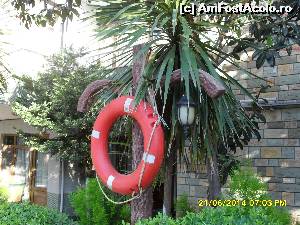 [P12]  -- <small>// FĂRĂ DESCRIERE</small> » foto by adryana
 - 
<span class="allrVoted glyphicon glyphicon-heart hidden" id="av529373"></span>
<a class="m-l-10 hidden" id="sv529373" onclick="voting_Foto_DelVot(,529373,9358)" role="button">șterge vot <span class="glyphicon glyphicon-remove"></span></a>
<a id="v9529373" class=" c-red"  onclick="voting_Foto_SetVot(529373)" role="button"><span class="glyphicon glyphicon-heart-empty"></span> <b>LIKE</b> = Votează poza</a> <img class="hidden"  id="f529373W9" src="/imagini/loader.gif" border="0" /><span class="AjErrMes hidden" id="e529373ErM"></span>