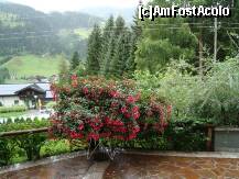 [P23] Terasa , pe 2 laturi ale pensiunii - vedere partiala . O incantare pentru cei care iubesc florile . » foto by Sarra*
 - 
<span class="allrVoted glyphicon glyphicon-heart hidden" id="av221667"></span>
<a class="m-l-10 hidden" id="sv221667" onclick="voting_Foto_DelVot(,221667,9361)" role="button">șterge vot <span class="glyphicon glyphicon-remove"></span></a>
<a id="v9221667" class=" c-red"  onclick="voting_Foto_SetVot(221667)" role="button"><span class="glyphicon glyphicon-heart-empty"></span> <b>LIKE</b> = Votează poza</a> <img class="hidden"  id="f221667W9" src="/imagini/loader.gif" border="0" /><span class="AjErrMes hidden" id="e221667ErM"></span>