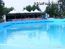 [P06]  -- <small>// FĂRĂ DESCRIERE</small> » foto by suvi_85
 - 
<span class="allrVoted glyphicon glyphicon-heart hidden" id="av319298"></span>
<a class="m-l-10 hidden" id="sv319298" onclick="voting_Foto_DelVot(,319298,9369)" role="button">șterge vot <span class="glyphicon glyphicon-remove"></span></a>
<a id="v9319298" class=" c-red"  onclick="voting_Foto_SetVot(319298)" role="button"><span class="glyphicon glyphicon-heart-empty"></span> <b>LIKE</b> = Votează poza</a> <img class="hidden"  id="f319298W9" src="/imagini/loader.gif" border="0" /><span class="AjErrMes hidden" id="e319298ErM"></span>