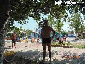 [P02] insula piretilor, in fundal » foto by Denisa13
 - 
<span class="allrVoted glyphicon glyphicon-heart hidden" id="av597034"></span>
<a class="m-l-10 hidden" id="sv597034" onclick="voting_Foto_DelVot(,597034,9369)" role="button">șterge vot <span class="glyphicon glyphicon-remove"></span></a>
<a id="v9597034" class=" c-red"  onclick="voting_Foto_SetVot(597034)" role="button"><span class="glyphicon glyphicon-heart-empty"></span> <b>LIKE</b> = Votează poza</a> <img class="hidden"  id="f597034W9" src="/imagini/loader.gif" border="0" /><span class="AjErrMes hidden" id="e597034ErM"></span>