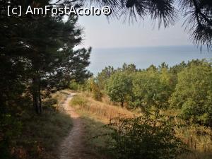 [P04] cararea spre plaja » foto by fan bulgaria
 - 
<span class="allrVoted glyphicon glyphicon-heart hidden" id="av1252419"></span>
<a class="m-l-10 hidden" id="sv1252419" onclick="voting_Foto_DelVot(,1252419,9375)" role="button">șterge vot <span class="glyphicon glyphicon-remove"></span></a>
<a id="v91252419" class=" c-red"  onclick="voting_Foto_SetVot(1252419)" role="button"><span class="glyphicon glyphicon-heart-empty"></span> <b>LIKE</b> = Votează poza</a> <img class="hidden"  id="f1252419W9" src="/imagini/loader.gif" border="0" /><span class="AjErrMes hidden" id="e1252419ErM"></span>