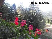 [P11] Vedere de pe balcon camera 304 - dubla matrimoniala » foto by dariac
 - 
<span class="allrVoted glyphicon glyphicon-heart hidden" id="av255693"></span>
<a class="m-l-10 hidden" id="sv255693" onclick="voting_Foto_DelVot(,255693,9376)" role="button">șterge vot <span class="glyphicon glyphicon-remove"></span></a>
<a id="v9255693" class=" c-red"  onclick="voting_Foto_SetVot(255693)" role="button"><span class="glyphicon glyphicon-heart-empty"></span> <b>LIKE</b> = Votează poza</a> <img class="hidden"  id="f255693W9" src="/imagini/loader.gif" border="0" /><span class="AjErrMes hidden" id="e255693ErM"></span>
