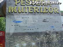 [P01] Pestera Muierilor- panoul de la intrare. » foto by iulianic
 - 
<span class="allrVoted glyphicon glyphicon-heart hidden" id="av223133"></span>
<a class="m-l-10 hidden" id="sv223133" onclick="voting_Foto_DelVot(,223133,9382)" role="button">șterge vot <span class="glyphicon glyphicon-remove"></span></a>
<a id="v9223133" class=" c-red"  onclick="voting_Foto_SetVot(223133)" role="button"><span class="glyphicon glyphicon-heart-empty"></span> <b>LIKE</b> = Votează poza</a> <img class="hidden"  id="f223133W9" src="/imagini/loader.gif" border="0" /><span class="AjErrMes hidden" id="e223133ErM"></span>
