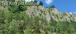[P02] 2. Acest masiv este străbătut de „Peștera Muierilor”. » foto by msnd
 - 
<span class="allrVoted glyphicon glyphicon-heart hidden" id="av1387996"></span>
<a class="m-l-10 hidden" id="sv1387996" onclick="voting_Foto_DelVot(,1387996,9382)" role="button">șterge vot <span class="glyphicon glyphicon-remove"></span></a>
<a id="v91387996" class=" c-red"  onclick="voting_Foto_SetVot(1387996)" role="button"><span class="glyphicon glyphicon-heart-empty"></span> <b>LIKE</b> = Votează poza</a> <img class="hidden"  id="f1387996W9" src="/imagini/loader.gif" border="0" /><span class="AjErrMes hidden" id="e1387996ErM"></span>