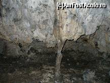 [P10] Pestera Muierii - o stalactita s-a unit cu o stalagmita si au format o coloana » foto by ascent
 - 
<span class="allrVoted glyphicon glyphicon-heart hidden" id="av162649"></span>
<a class="m-l-10 hidden" id="sv162649" onclick="voting_Foto_DelVot(,162649,9382)" role="button">șterge vot <span class="glyphicon glyphicon-remove"></span></a>
<a id="v9162649" class=" c-red"  onclick="voting_Foto_SetVot(162649)" role="button"><span class="glyphicon glyphicon-heart-empty"></span> <b>LIKE</b> = Votează poza</a> <img class="hidden"  id="f162649W9" src="/imagini/loader.gif" border="0" /><span class="AjErrMes hidden" id="e162649ErM"></span>