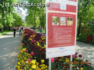 [P04] Gradina Publica Braila.  » foto by melena
 - 
<span class="allrVoted glyphicon glyphicon-heart hidden" id="av730840"></span>
<a class="m-l-10 hidden" id="sv730840" onclick="voting_Foto_DelVot(,730840,9407)" role="button">șterge vot <span class="glyphicon glyphicon-remove"></span></a>
<a id="v9730840" class=" c-red"  onclick="voting_Foto_SetVot(730840)" role="button"><span class="glyphicon glyphicon-heart-empty"></span> <b>LIKE</b> = Votează poza</a> <img class="hidden"  id="f730840W9" src="/imagini/loader.gif" border="0" /><span class="AjErrMes hidden" id="e730840ErM"></span>