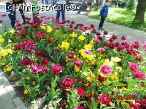 [P05] Gradina Publica Braila.  » foto by melena
 - 
<span class="allrVoted glyphicon glyphicon-heart hidden" id="av730841"></span>
<a class="m-l-10 hidden" id="sv730841" onclick="voting_Foto_DelVot(,730841,9407)" role="button">șterge vot <span class="glyphicon glyphicon-remove"></span></a>
<a id="v9730841" class=" c-red"  onclick="voting_Foto_SetVot(730841)" role="button"><span class="glyphicon glyphicon-heart-empty"></span> <b>LIKE</b> = Votează poza</a> <img class="hidden"  id="f730841W9" src="/imagini/loader.gif" border="0" /><span class="AjErrMes hidden" id="e730841ErM"></span>