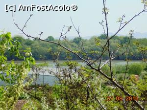 [P08] Dunarea la Braila.  » foto by melena
 - 
<span class="allrVoted glyphicon glyphicon-heart hidden" id="av730844"></span>
<a class="m-l-10 hidden" id="sv730844" onclick="voting_Foto_DelVot(,730844,9407)" role="button">șterge vot <span class="glyphicon glyphicon-remove"></span></a>
<a id="v9730844" class=" c-red"  onclick="voting_Foto_SetVot(730844)" role="button"><span class="glyphicon glyphicon-heart-empty"></span> <b>LIKE</b> = Votează poza</a> <img class="hidden"  id="f730844W9" src="/imagini/loader.gif" border="0" /><span class="AjErrMes hidden" id="e730844ErM"></span>