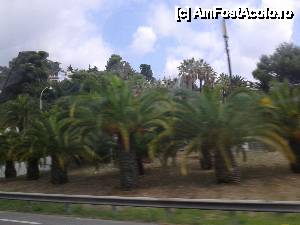 [P08] Peisaj pe marginea drumului pe Coasta de Azur » foto by albena
 - 
<span class="allrVoted glyphicon glyphicon-heart hidden" id="av463072"></span>
<a class="m-l-10 hidden" id="sv463072" onclick="voting_Foto_DelVot(,463072,9427)" role="button">șterge vot <span class="glyphicon glyphicon-remove"></span></a>
<a id="v9463072" class=" c-red"  onclick="voting_Foto_SetVot(463072)" role="button"><span class="glyphicon glyphicon-heart-empty"></span> <b>LIKE</b> = Votează poza</a> <img class="hidden"  id="f463072W9" src="/imagini/loader.gif" border="0" /><span class="AjErrMes hidden" id="e463072ErM"></span>