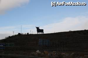 [P20] Drumul spre Granada: A-45. Primul taur vizionat de noi.  » foto by le_maitre
 - 
<span class="allrVoted glyphicon glyphicon-heart hidden" id="av487053"></span>
<a class="m-l-10 hidden" id="sv487053" onclick="voting_Foto_DelVot(,487053,9427)" role="button">șterge vot <span class="glyphicon glyphicon-remove"></span></a>
<a id="v9487053" class=" c-red"  onclick="voting_Foto_SetVot(487053)" role="button"><span class="glyphicon glyphicon-heart-empty"></span> <b>LIKE</b> = Votează poza</a> <img class="hidden"  id="f487053W9" src="/imagini/loader.gif" border="0" /><span class="AjErrMes hidden" id="e487053ErM"></span>