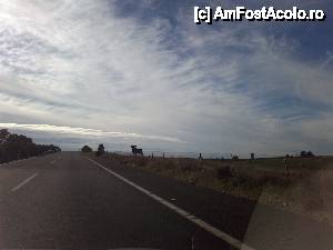 [P33] Între Cordoba și Sevilla, pe A-4. Un alt toro vizionat.  » foto by le_maitre
 - 
<span class="allrVoted glyphicon glyphicon-heart hidden" id="av487066"></span>
<a class="m-l-10 hidden" id="sv487066" onclick="voting_Foto_DelVot(,487066,9427)" role="button">șterge vot <span class="glyphicon glyphicon-remove"></span></a>
<a id="v9487066" class=" c-red"  onclick="voting_Foto_SetVot(487066)" role="button"><span class="glyphicon glyphicon-heart-empty"></span> <b>LIKE</b> = Votează poza</a> <img class="hidden"  id="f487066W9" src="/imagini/loader.gif" border="0" /><span class="AjErrMes hidden" id="e487066ErM"></span>
